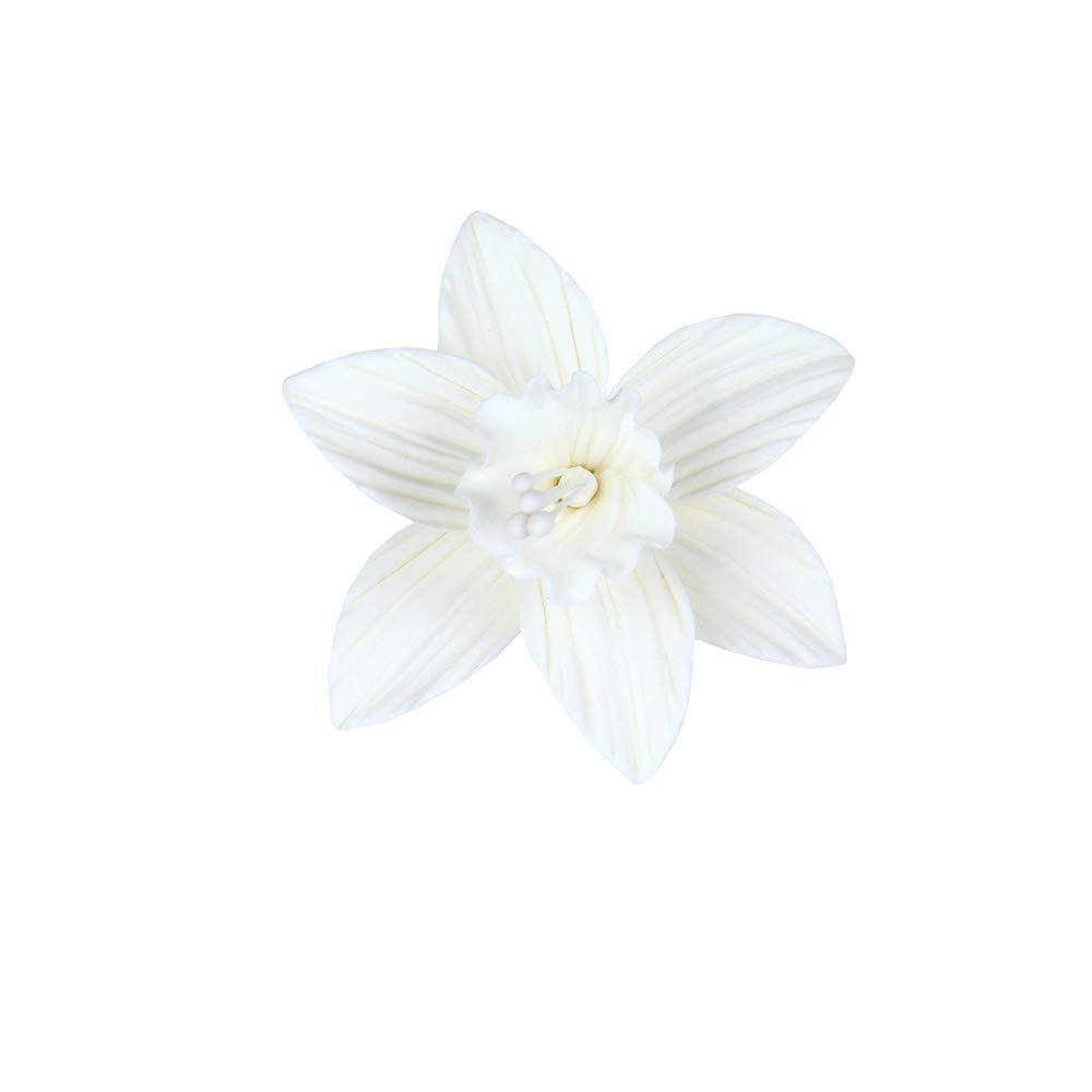 OCreme Gumpaste White Daffodil Flower Set Of 6-2 Inch - Edible Flowers For Cake Decorating - Sugar Paste Flower Decorations For Cakes Cupcake Toppers - Birthday Party Wedding Valentines Day