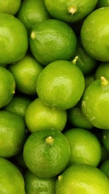Fresh Key Limes 3 Lbs.