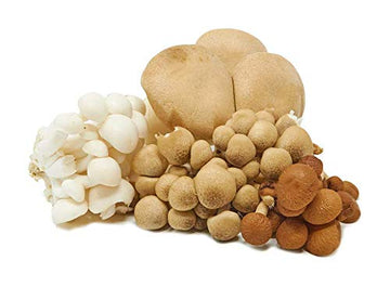 Ri Mushroom Co, Mushroom Chef Medley Organic, 8 Ounce