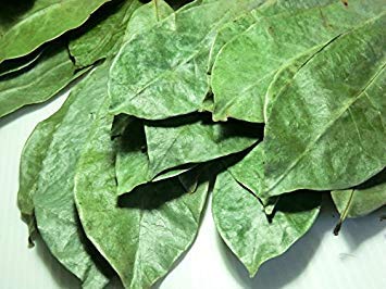 100% Natural Dried Soursop Leaves From Ceylon Sri Lanka 1Oz (28G)