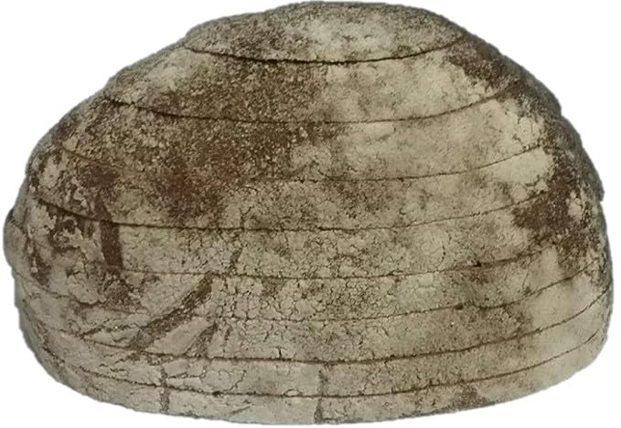 Gourmet Market German Farmer Bread - Pack of 4, 15.2 oz - Fresh Artisan Loaves for Delicious Meals and Snacks