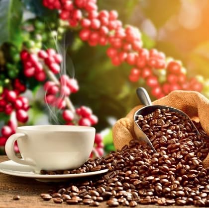 Hawaiian Isles Coffee Milk Chocolate Macadamia Flavored, Light Roast Ground Coffee, Roasted With Aloha - 8 Ounce Bag