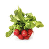 PRODUCE Red Radishes, 16 OZ
