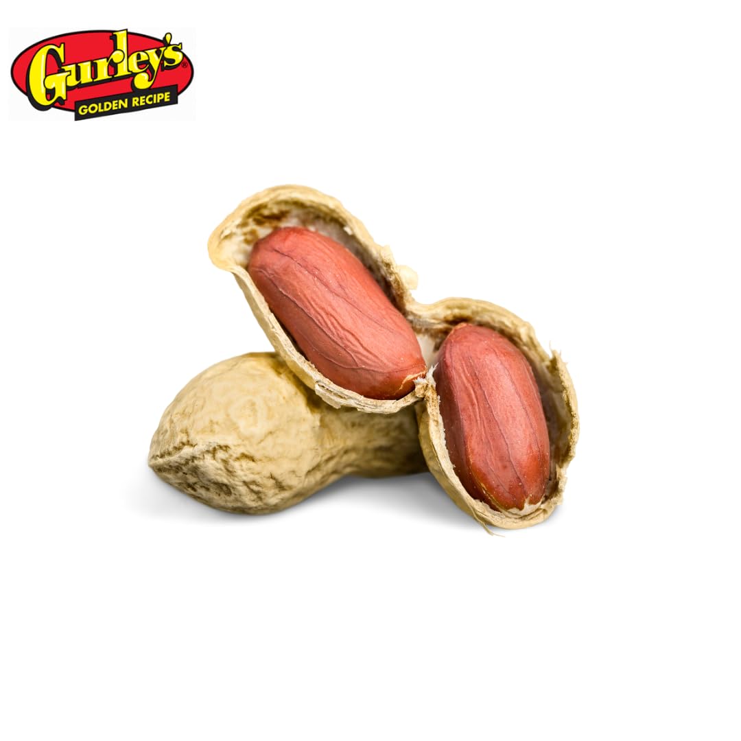 Gurley'S Jumbo Salted & Roasted In Shell Peanuts, Non Gmo Healthy High Protein Snacks, Salty Peanut Snack Sized Bags, 6 Oz Bag B