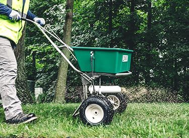Lawn Synergy Lesco All-Pro Tall Fescue Grass Seed, 50 lbs - Drought-Tolerant, Heat & Shade Resistant, Insect-Resistant, Green