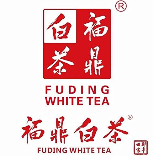 GreenHillTea Organic Silver Needle White Tea - Savoury Aroma - 8 OZ