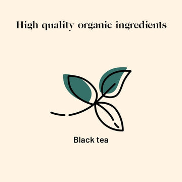 Kusmi Tea - English Breakfast - Organic English Breakfast Black Tea - Ceylon & Assam Black Teas - Smooth, Flavourful, Robust, Ca