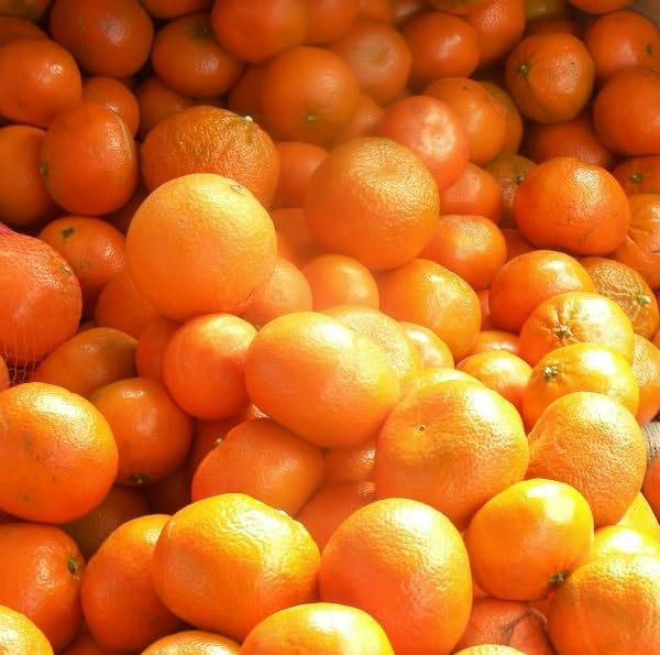Generic California Honey Tangerines Fresh Whole Fruit ~ 3 Pound Bag ~ Gmo Free, Medium