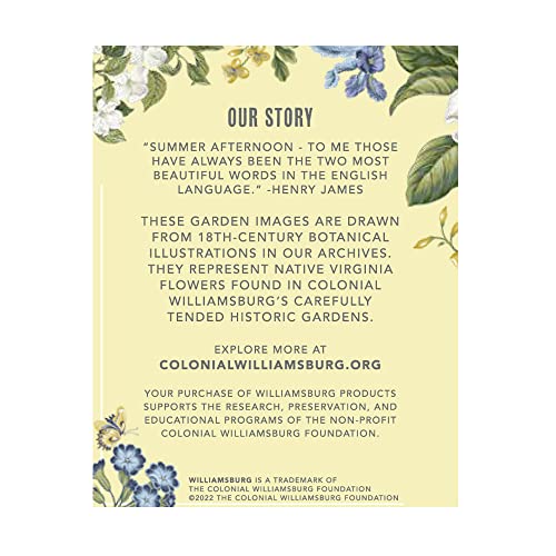 Harney & Sons Summer Afternoon Colonial Williamsburg Blend | Green Tea with Floral and Fruit Flavors
