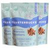 Lil Bucks Clusterbucks Gut Friendly Clusters made with Regenerative Organic Sprouted Buckwheat, Gluten Free Snack (Coco Maple, 3