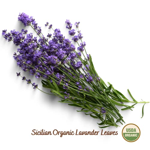 Filippone Organic Dried Lavender Bunch 25 G (0.88 Oz), Freshly Grown In The Mountains Of Sicily, Culinary Lavender, Italian Drie