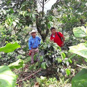 2Lb Fair Trade Organic Certified Guatemalan Whole Bean Medium Roast Coffee, 100% Arabica Specialty Coffee, 32 Ounces, 2 Pounds,