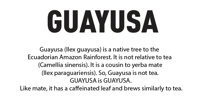 PACHA Guayusa Tea Bags | 100 Count | 2.5g Each | High Natural Caffeine | Clean Energy Tea