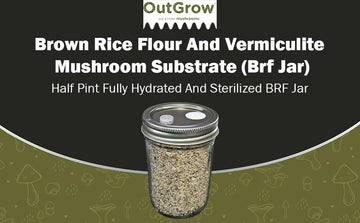 Brf Jars Brown Rice Flour Mushroom Substrate