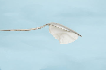 Ice Prov Skyr Mxd Berry (12X4.40)