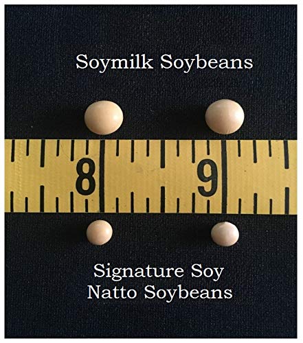 Signature Soy Non-Gmo Soybeans For Natto 13 Lbs. Fresh Crop