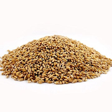 Purity Foods Vitaspelt Non-Gmo Spelt Berries Kernel 25 Lb Bag