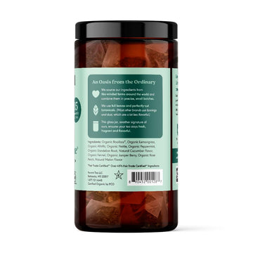 Paromi Detox With Me Rooibos Organic Tea Organic Herbal Tea, Signature Jar, 15 Count (Pack Of 6)