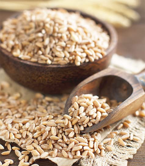 Unpretentious Whole Spelt Flour, 1 Gallon, Light & Airy Flour, From Dehulled Spelt Berries