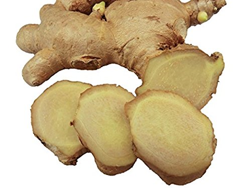 Fresh Wild Turmeric & Ginger Combo 1Lb Each By Nine Shani (20Lb)