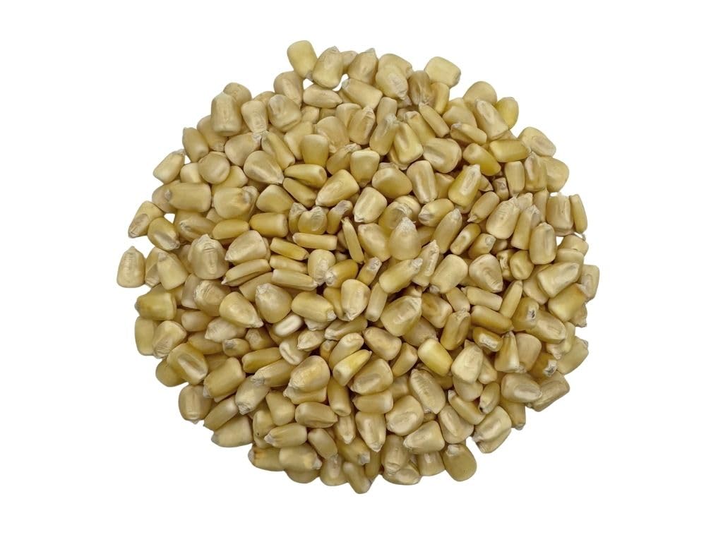 White Corn (Maiz Blanco) - Dried Whole Kernels - Product of Sinaloa, Mexico | 10lb.