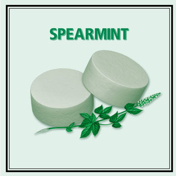 Altoids Spearmint Mints, 1.76 Ounce (12 Packs)