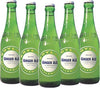 Boylan Ginger Ale, Glass Bottles, 12 Ounce (Pack of 12), Green, Model WS-DVF-BG-12