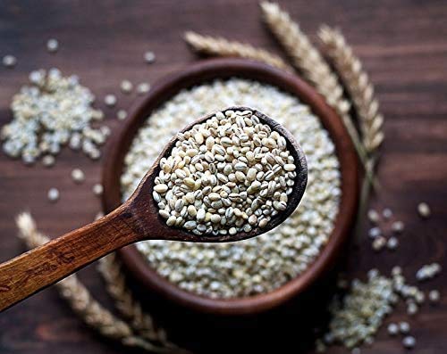 Pearl Barley, 20 Pounds - Processed Hulled Barley, Cereal Grain, Kosher, Vegan, Bulk. Cooks Faster Than Hulled Barley. High In F