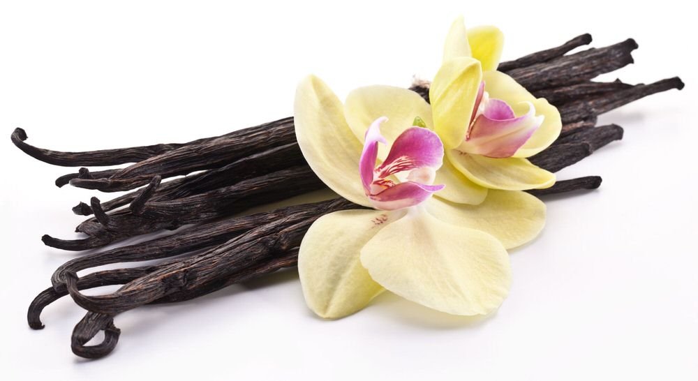 Wild Foods Organic Vanilla Bean Powder | All Natural Pure Vanilla Beans From Madagascar | Wild Powder For Iced Coffee, Baking & Smoothie Blended Drinks | Unsweetened Gluten Free Powdered Mix | (3 Ounce)