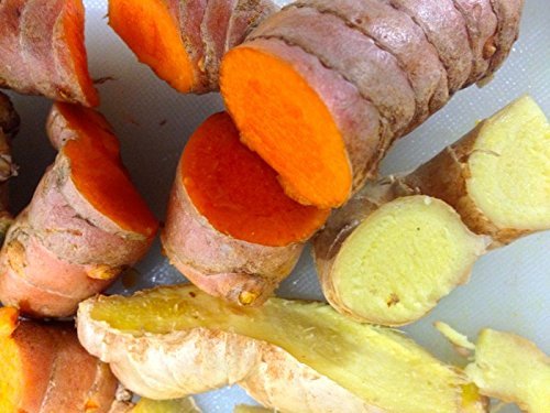 Fresh Wild Turmeric & Ginger Combo 1Lb Each By Nine Shani (5Lb)