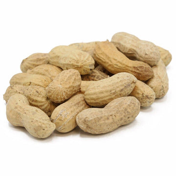 C.J. Dannemiller Jumbo RAW Peanuts in Shell, 10 LB Bulk Bag - Ideal for Boiling and Roasting