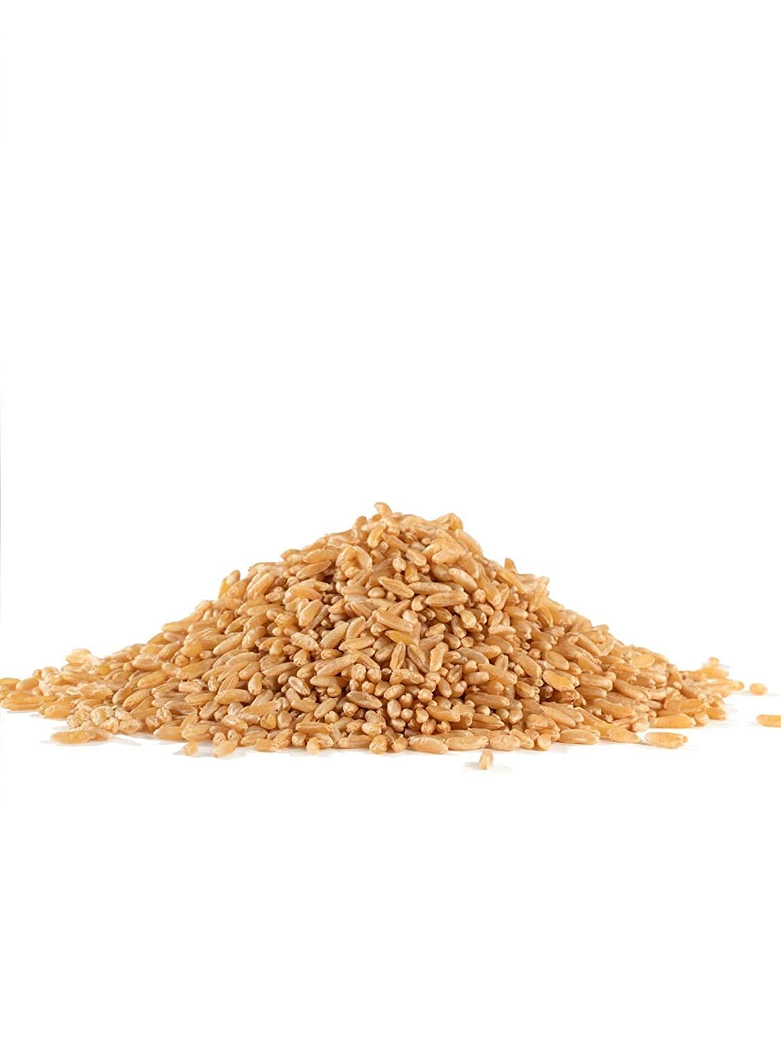 Bob'S Red Mill Organic Kamut Khorasan Berries, 24 Ounce (Pack Of 2)