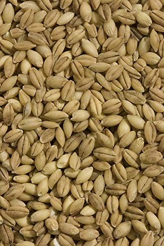 Shiloh Farms - Organic Hulless Barley - 15 oz.