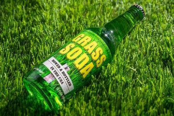 Grass Soda Pop, Weird And Surprising Soda