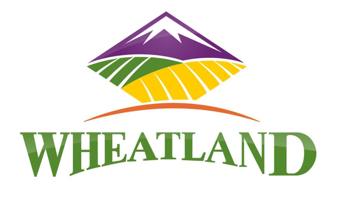 Durum Wheat Berries I Wheatland I 20Lb Bucket I 25 Year Shelf Life I Tested Chemical Free I Non Gmo I Kosher I Vegan I Mylar + 4