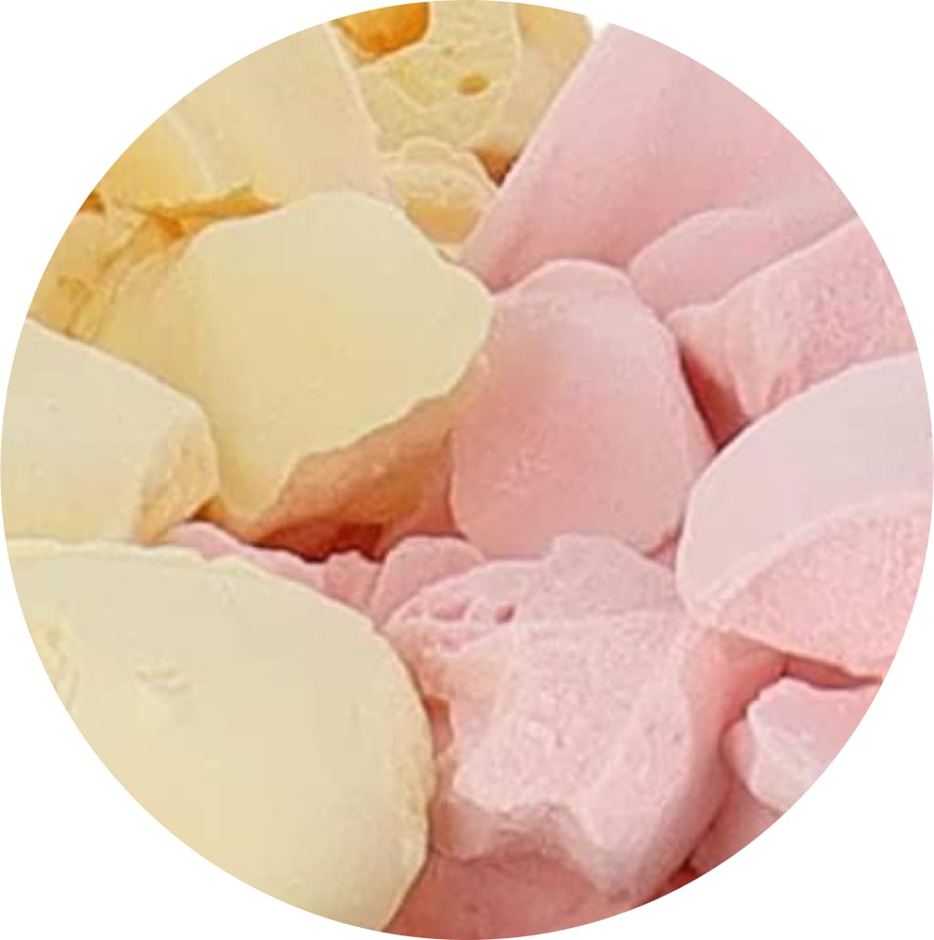Arctic Farms Freeze Dried Ice Cream Bits Bulk - Does Not Melt (Strawberry Banana Mix) (1Lb)
