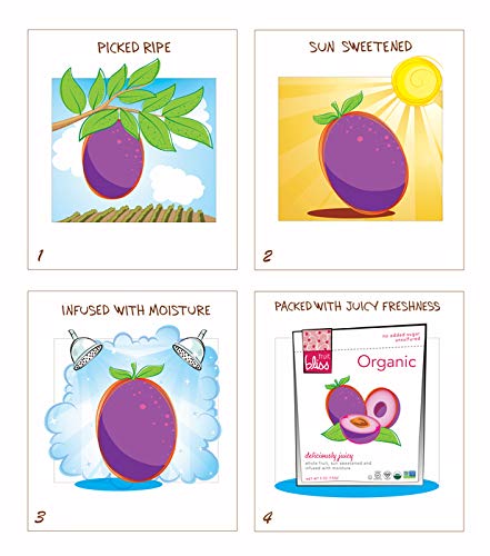 Fruit Bliss Organic Unsulfured Turkish Apricots Dried Fruit Snacks, 2 Pack (5 oz. each), Non-GMO, Gluten-Free, Healthy On-the-Go Snacks