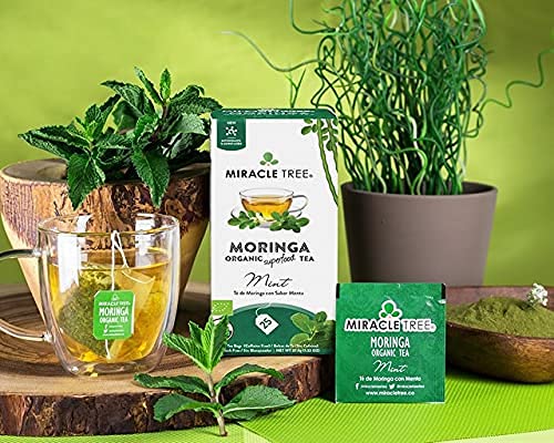 Tree Organic Moringa Superfood Tea - 25 Individually Sealed Bags, Mint Flavor, 3 Count Pack, Vegan, Gluten-Free, Caffeine-Free