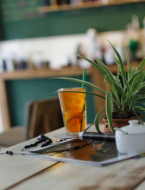 4C Powder Drink Mix Packets, Variety, 24 Count, Singles Stix On The Go, Refreshing Sugar Free Water Flavorings (2.37 Ounce (Pack Of 6))