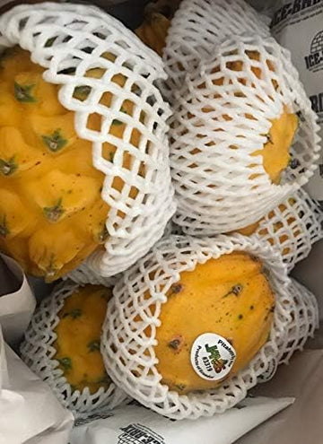 Kejora Fresh Yellow Dragon Fruit (6 Pcs)