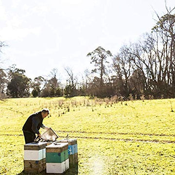 Tasmanian Learherwood Raw Honey | Pure, Unheated, Unfiltered, Unpasteurized, And Hand-Crafted, 26.5 Ounces