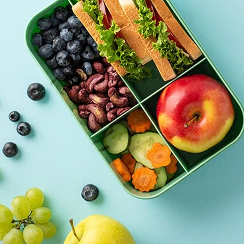 Elan Organic Acai Blueberry Cashews, Non-Gmo, Vegan, Gluten-Free, Kosher, Glazed Nuts (Roasted Cashews, Acai Berry Powder, Blueb