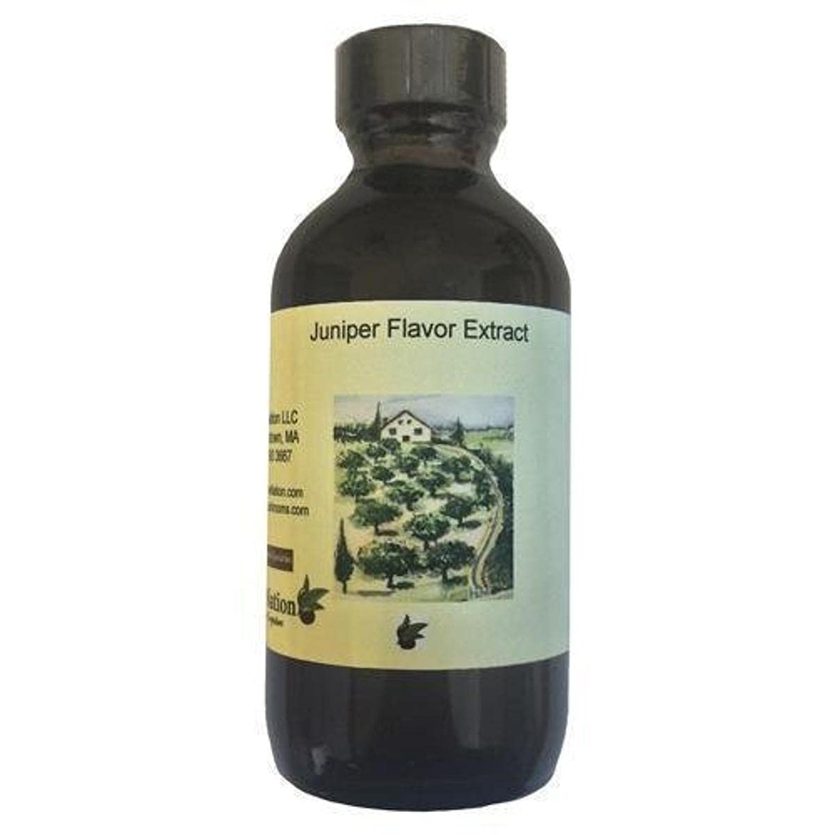 OliveNation Juniper Flavor Extract - Classic Gin Taste for Beverages & Cooking, Non-GMO, Gluten Free, Vegan - 8 Fl Oz