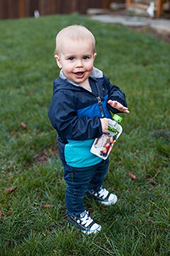 Sprout Organic Baby Food Toddler Power Pak Pouches Stage 4, Apple W/ Superblend Blueberry Plum, 4 Ounce Pouches (Pack Of 12)