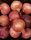 Fresh Shallots 2 Lbs. Produce Of Usa