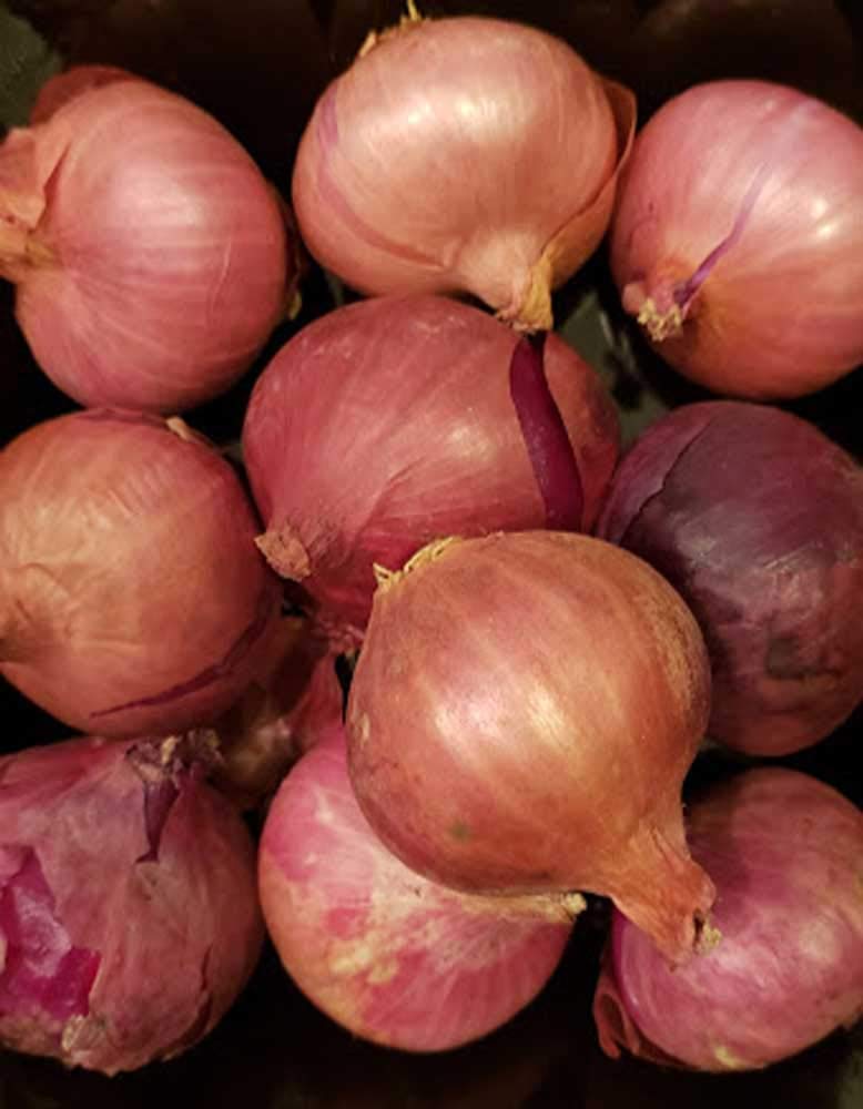 Fresh Shallots 2 Lbs. Produce Of Usa