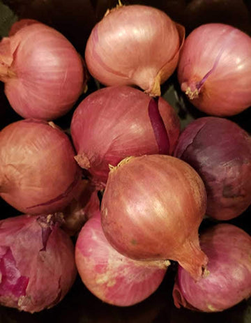 Fresh Shallots 2 Lbs. Produce Of Usa