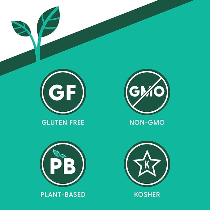 Ancient Harvest Gluten Free Plant-Based High Protein Vegan Pasta, Green Lentil And Quinoa Spaghetti, 8 Ounce (Pack Of 6)