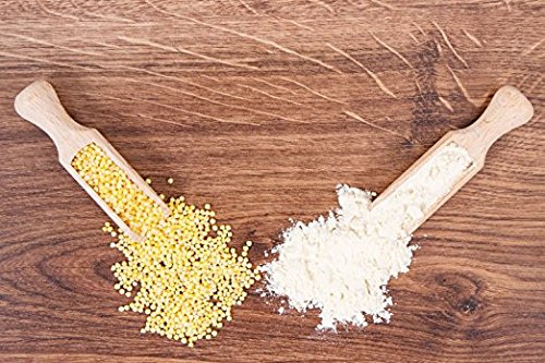 Food To Live Organic Millet Flour, 4 Pounds Non-Gmo, Kosher, Vegan, Stone Ground, Unbleached, Unbromated, Bulk, Product Of The Usa