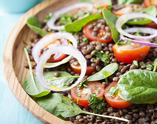 Food to Live Organic French Green Lentils, 10 Pounds - Non-GMO, Whole Dry Beans, Raw, Sproutable, Vegan, Kosher. Rich in Folate,